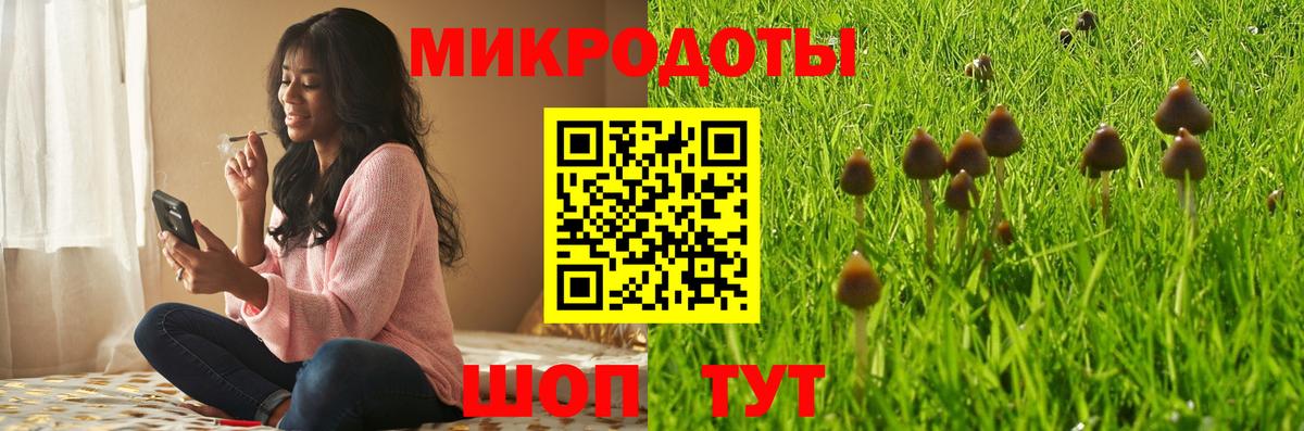 Кашира  Псилоцибиновые грибы MAGIC MUSHROOMS  Вход с VPN 