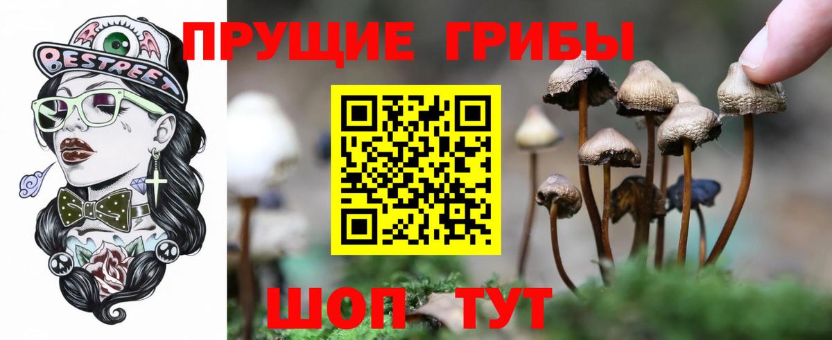 Псилоцибиновые грибы мухоморы Кашира